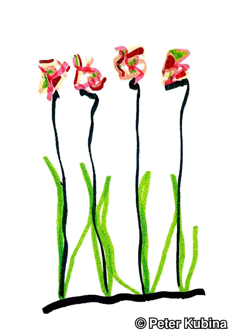 4 Flowers
