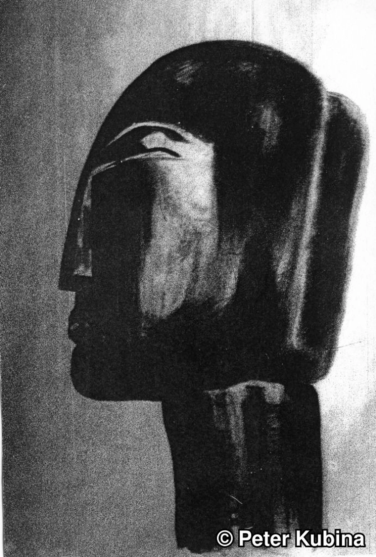 Shadow Profile